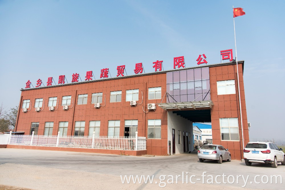 Factory Wholesale Fresh Garlic Price